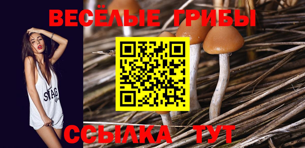 Псилоцибиновые грибы Magic Shrooms Арсеньев