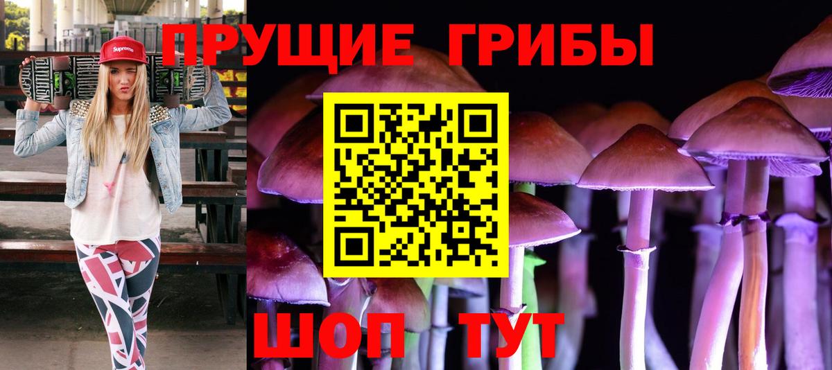 Арсеньев  Галлюциногенные грибы мухоморы  Вход с VPN 